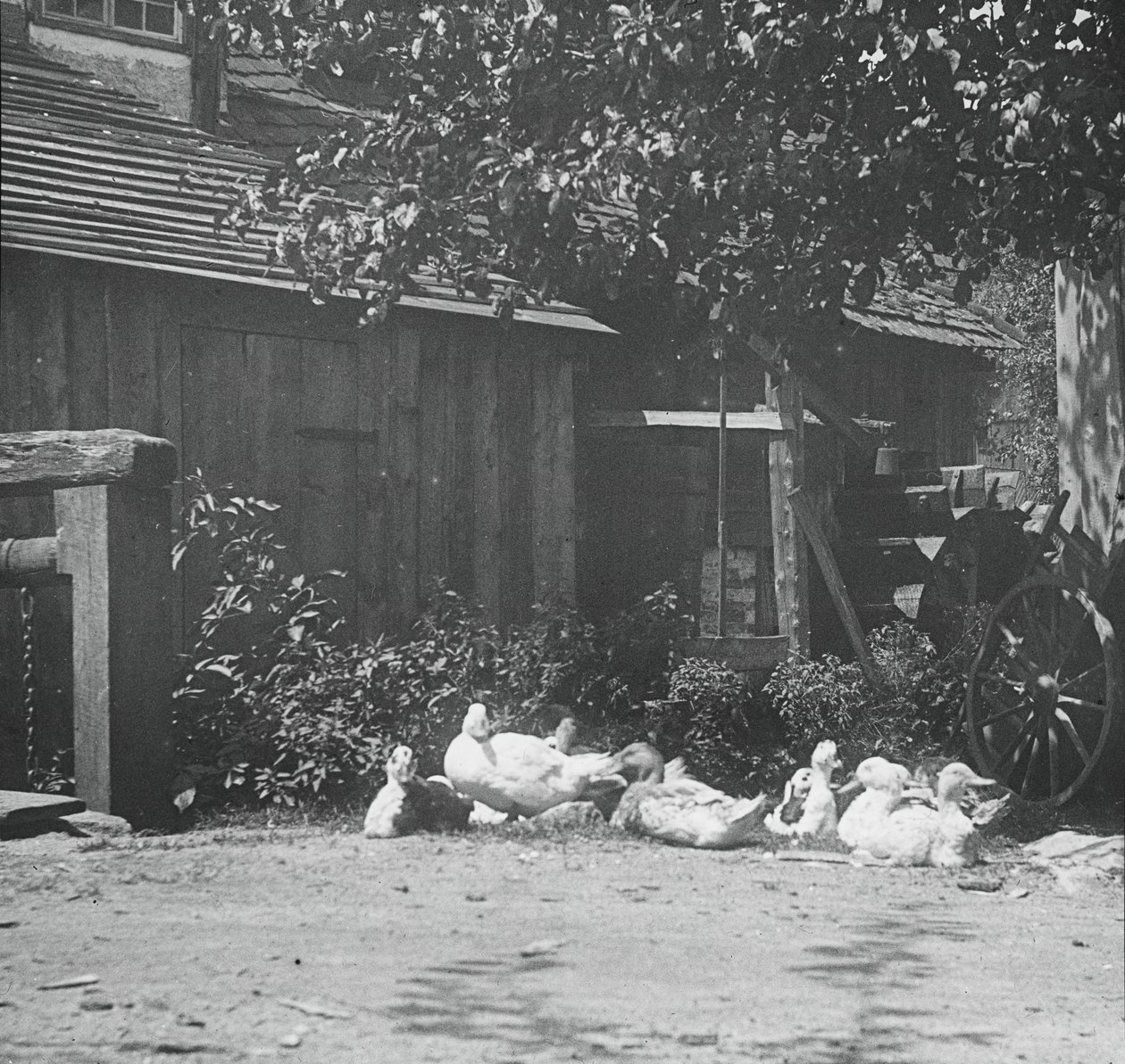 Gutach, 1894. autorstwa Alfred Stieglitz