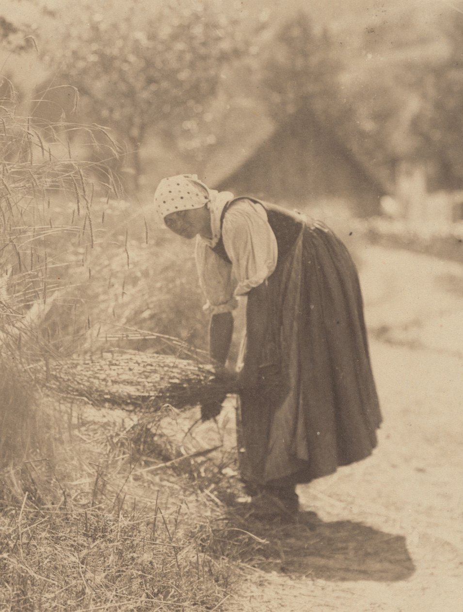 Zbiory autorstwa Alfred Stieglitz
