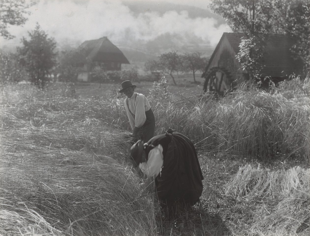 Żniwa, Schwarzwald autorstwa Alfred Stieglitz