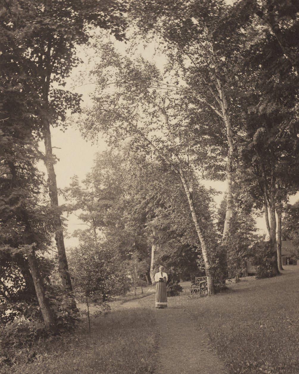 Ścieżka Hedwig, Oaklawn, jezioro George autorstwa Alfred Stieglitz