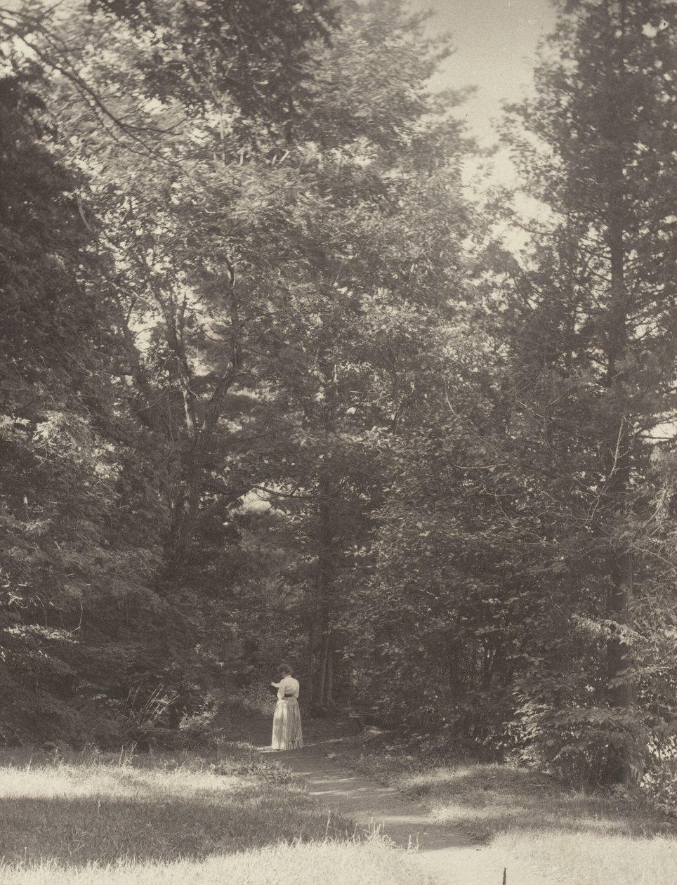 „Hedwigsweg” II, jezioro George autorstwa Alfred Stieglitz