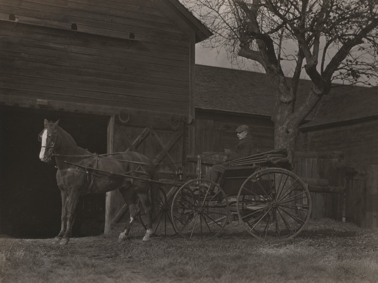 Koń i powóz autorstwa Alfred Stieglitz