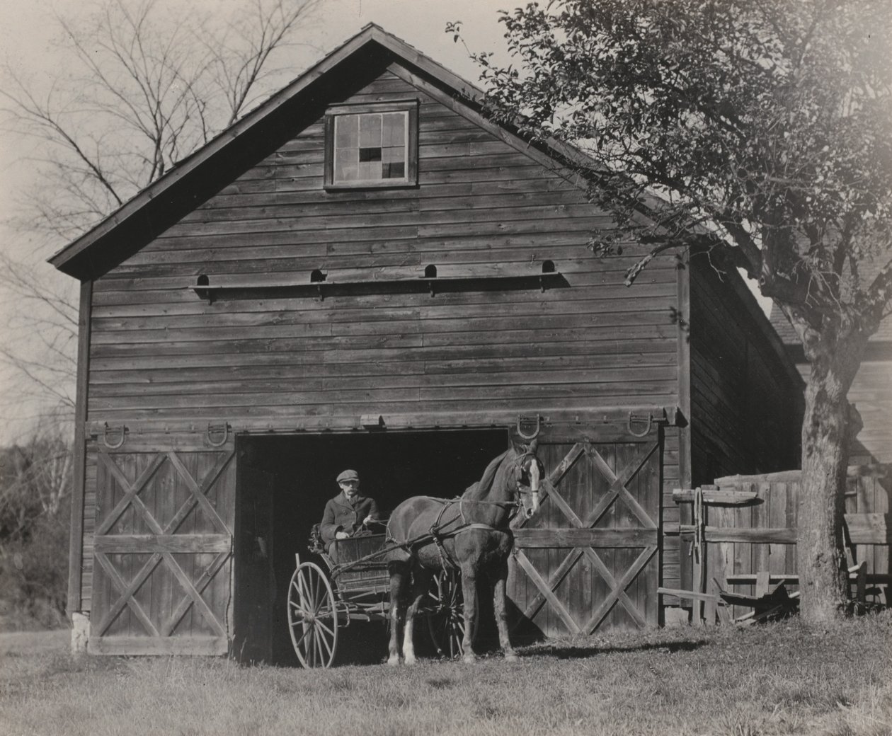 Koń i powóz autorstwa Alfred Stieglitz