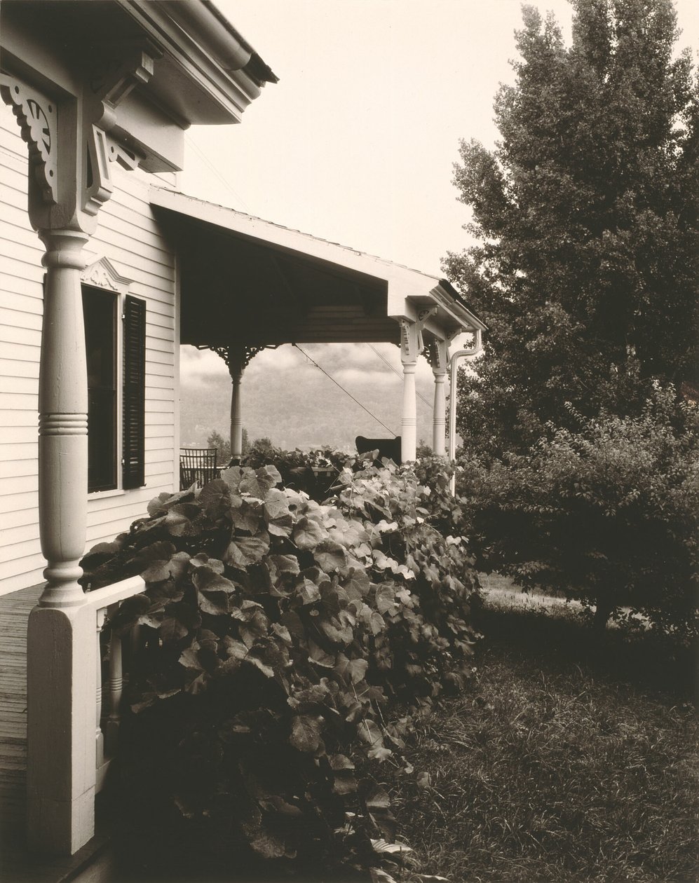 Dom i liście winogron autorstwa Alfred Stieglitz