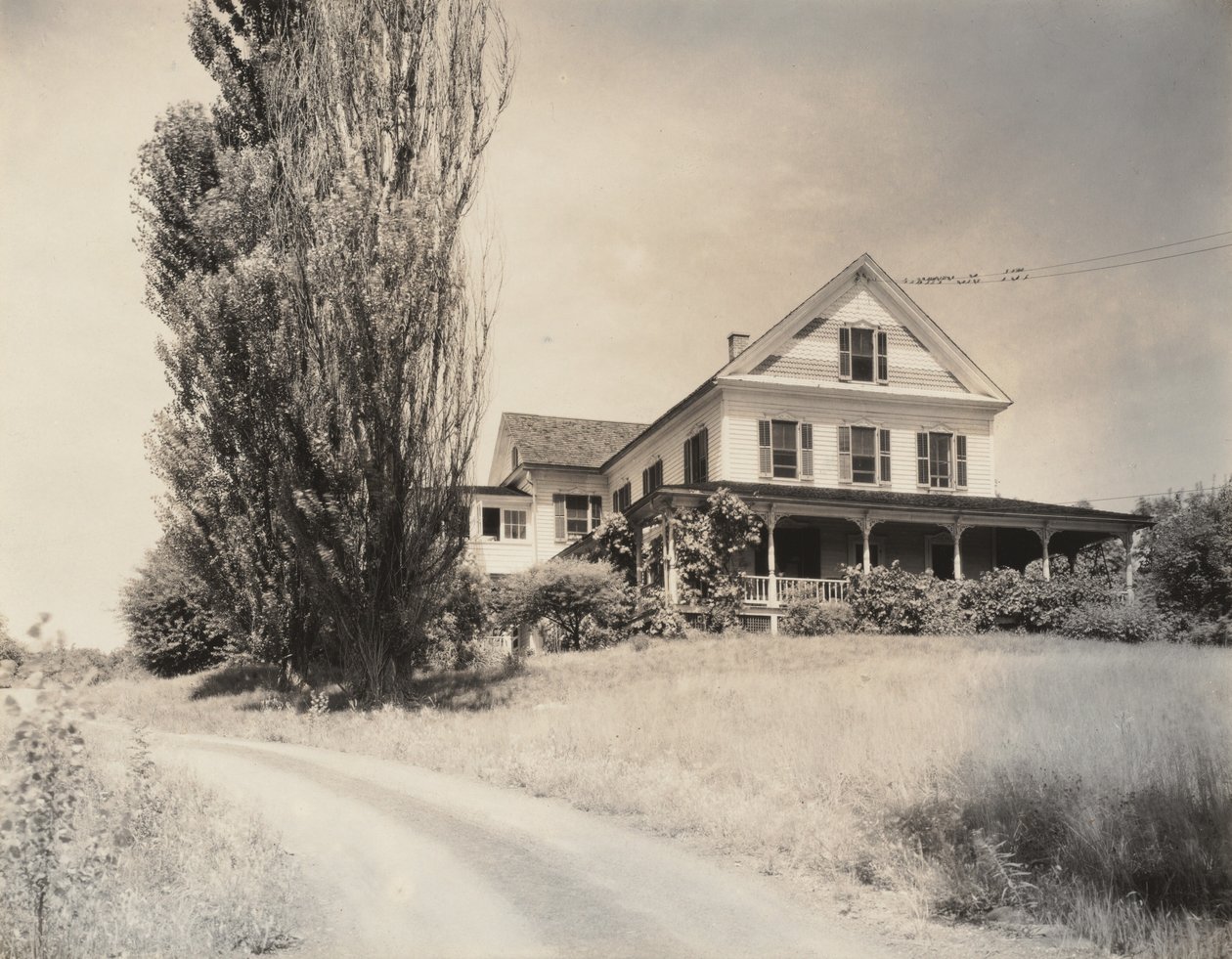 House and Poplars, Lake George autorstwa Alfred Stieglitz