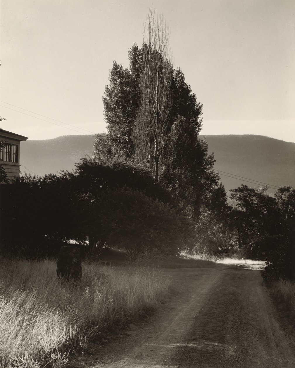 Dom i topole, jezioro George autorstwa Alfred Stieglitz