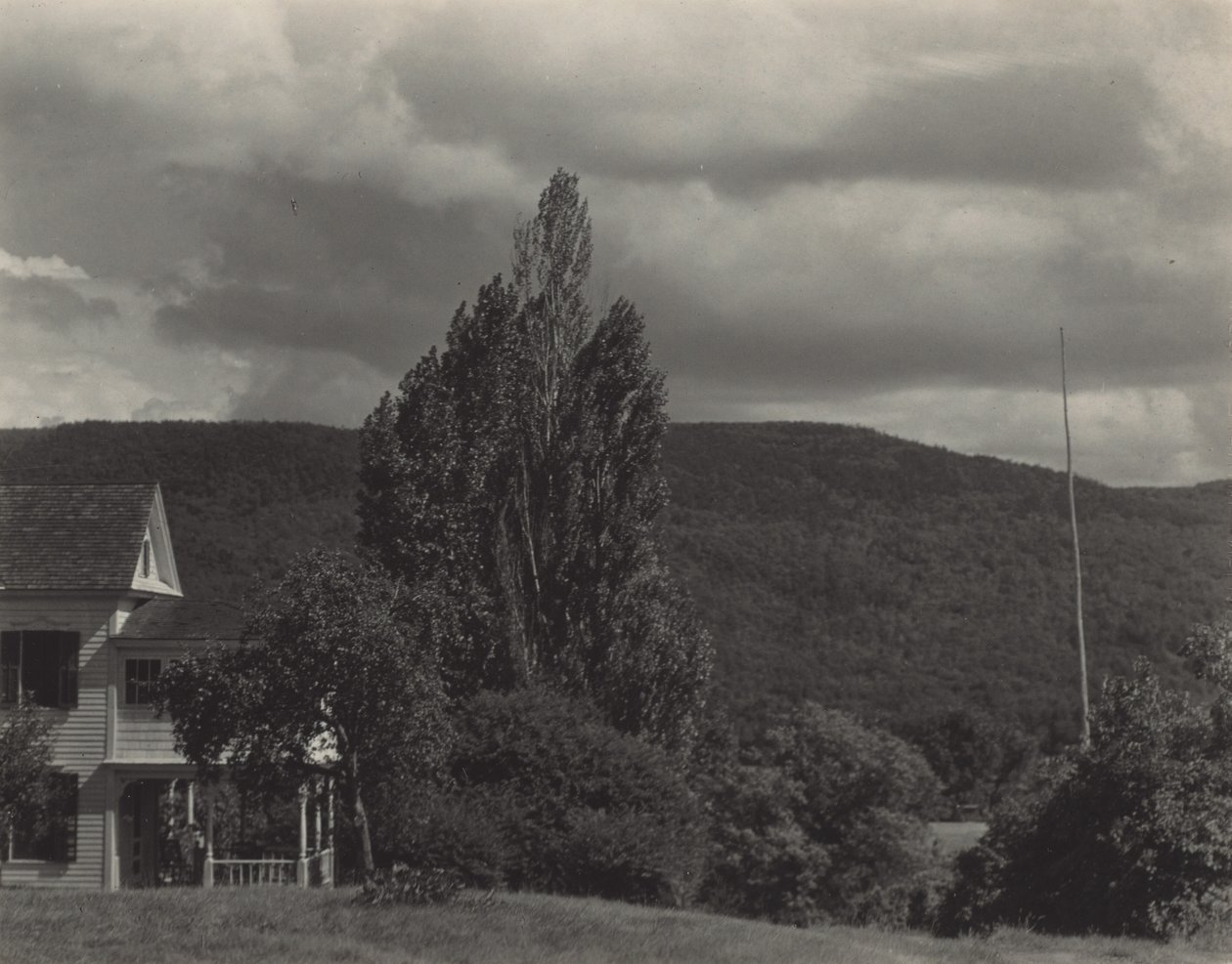 Dom i drzewa, Lake George autorstwa Alfred Stieglitz