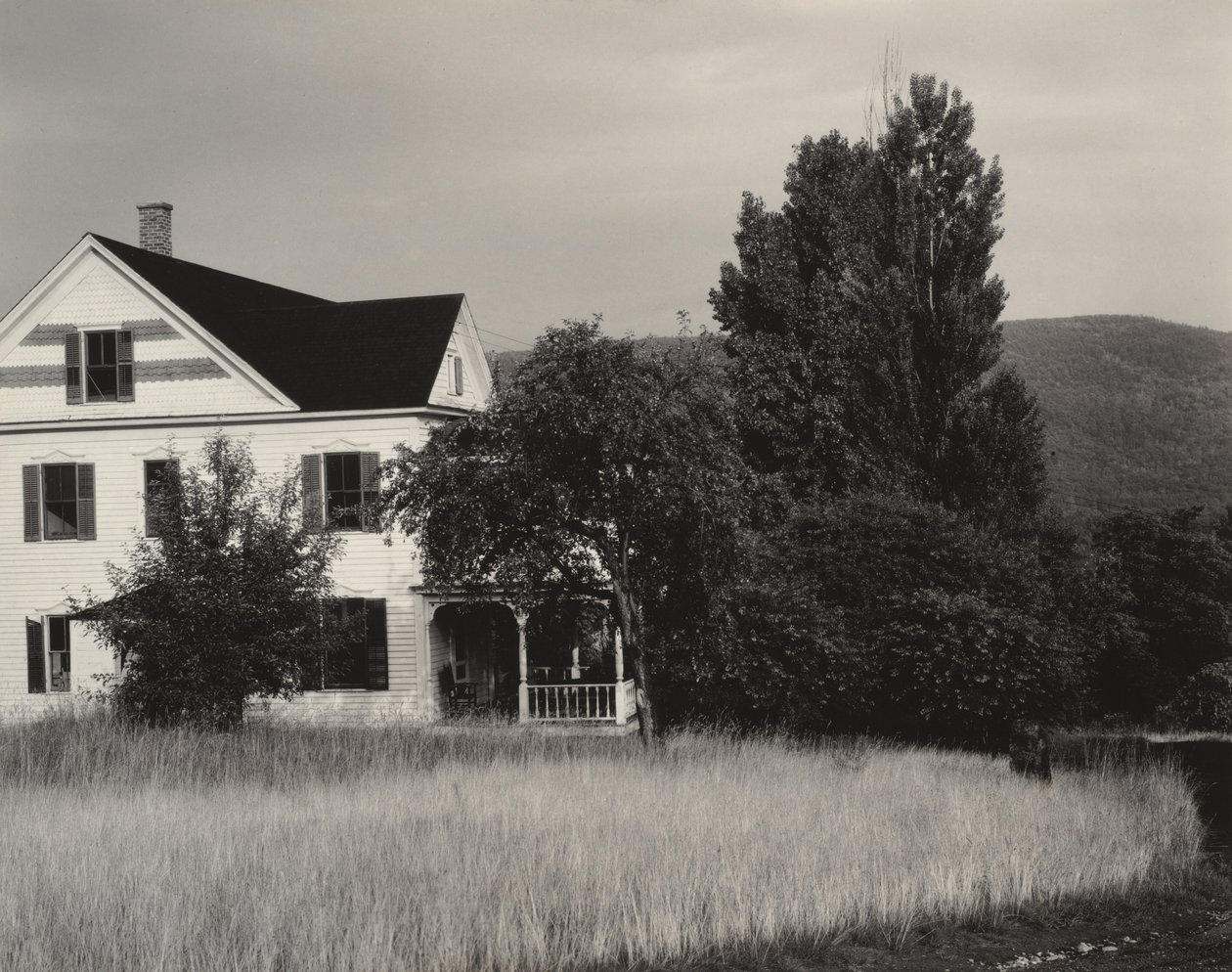 Dom i drzewa, Lake George autorstwa Alfred Stieglitz