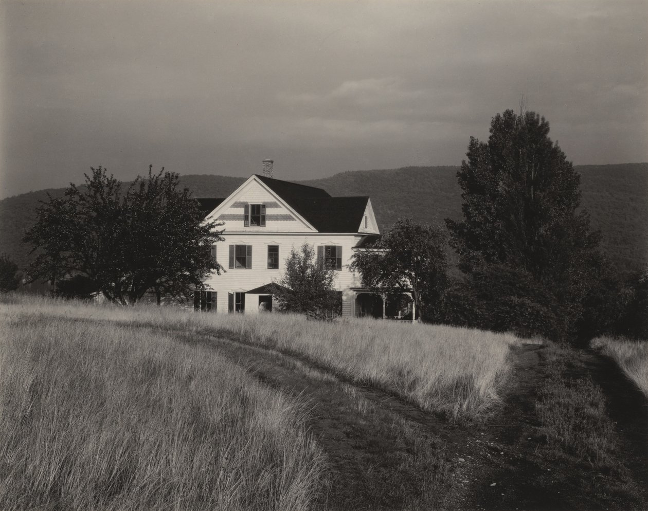 Dom i drzewa, Lake George autorstwa Alfred Stieglitz