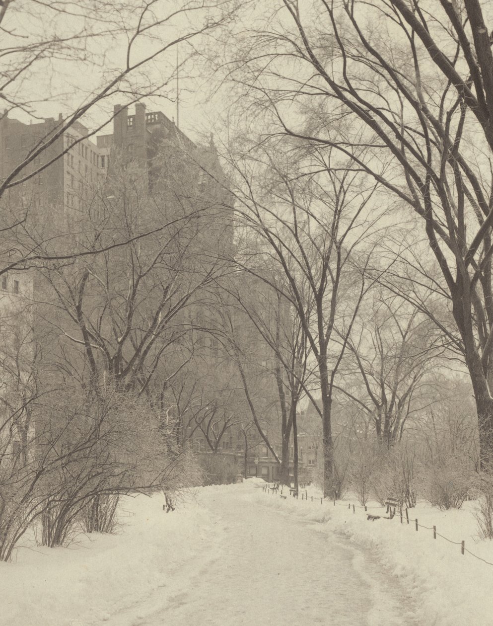 W parku autorstwa Alfred Stieglitz