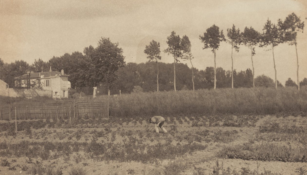 Na przedmieściach Paryża autorstwa Alfred Stieglitz