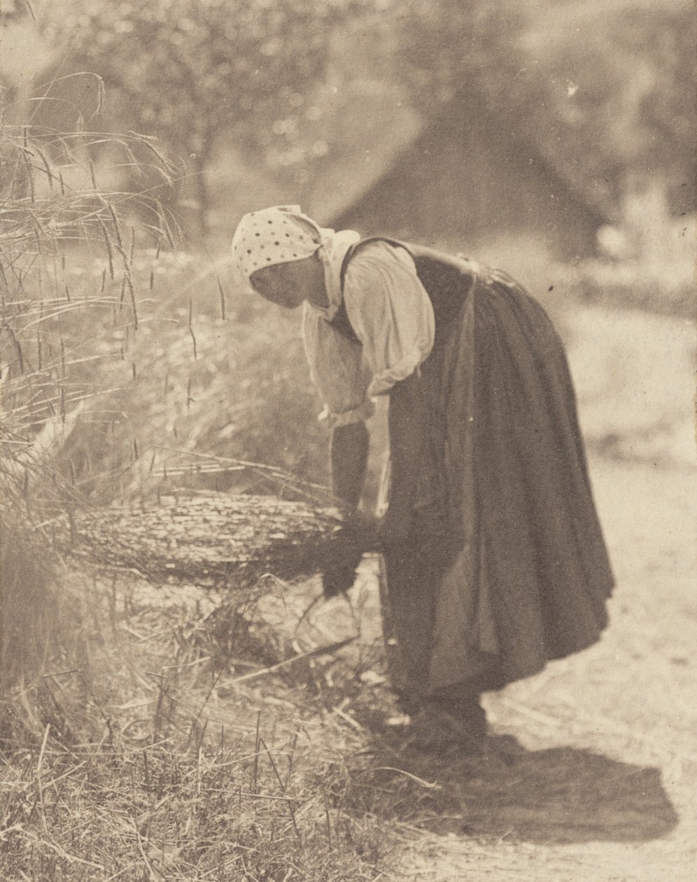 Przerwane autorstwa Alfred Stieglitz