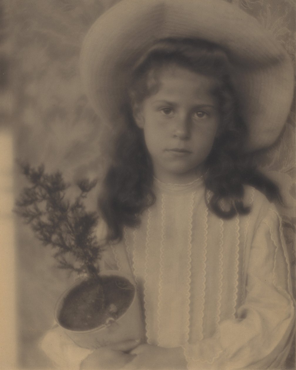Kitty — doniczka autorstwa Alfred Stieglitz