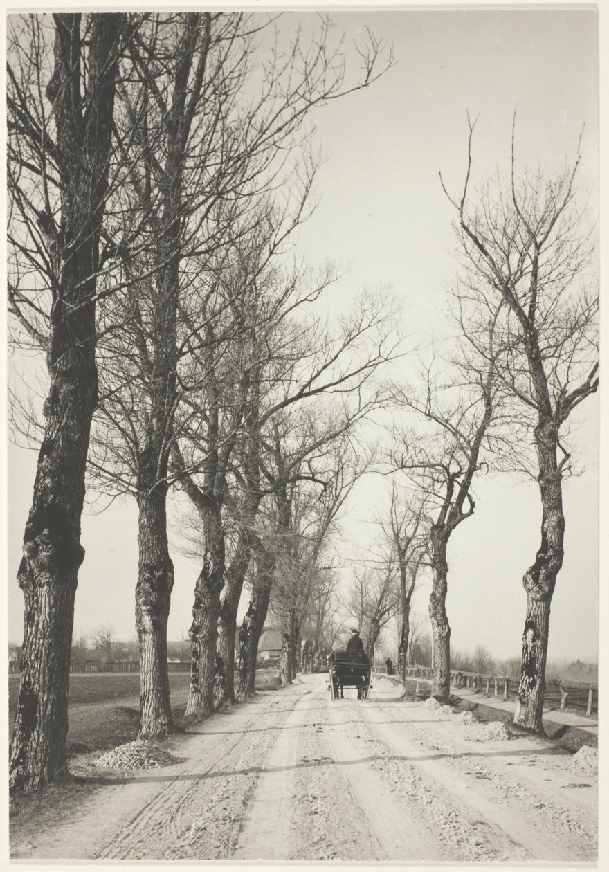 Listopadowe Dni autorstwa Alfred Stieglitz