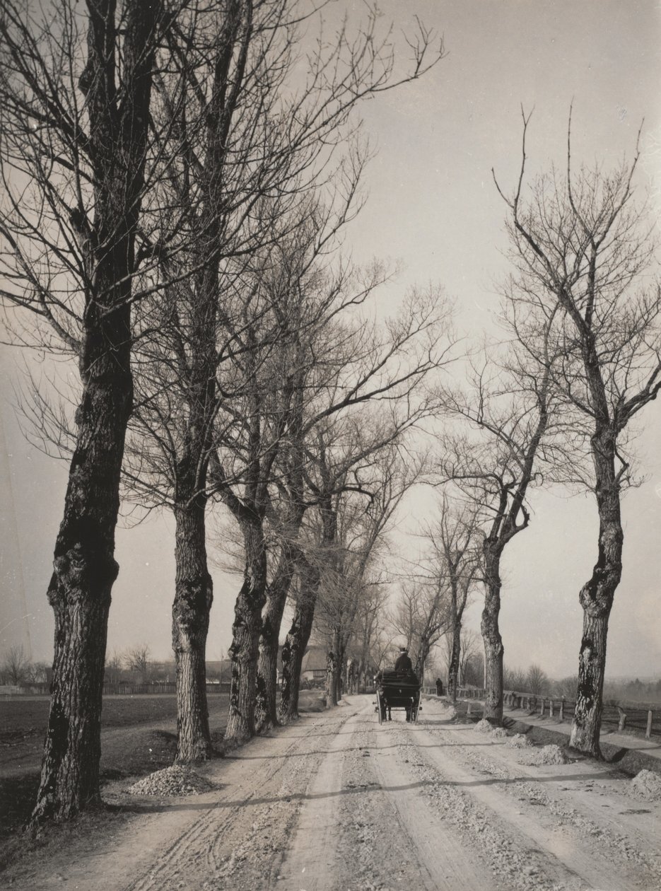 Listopadowe dni autorstwa Alfred Stieglitz