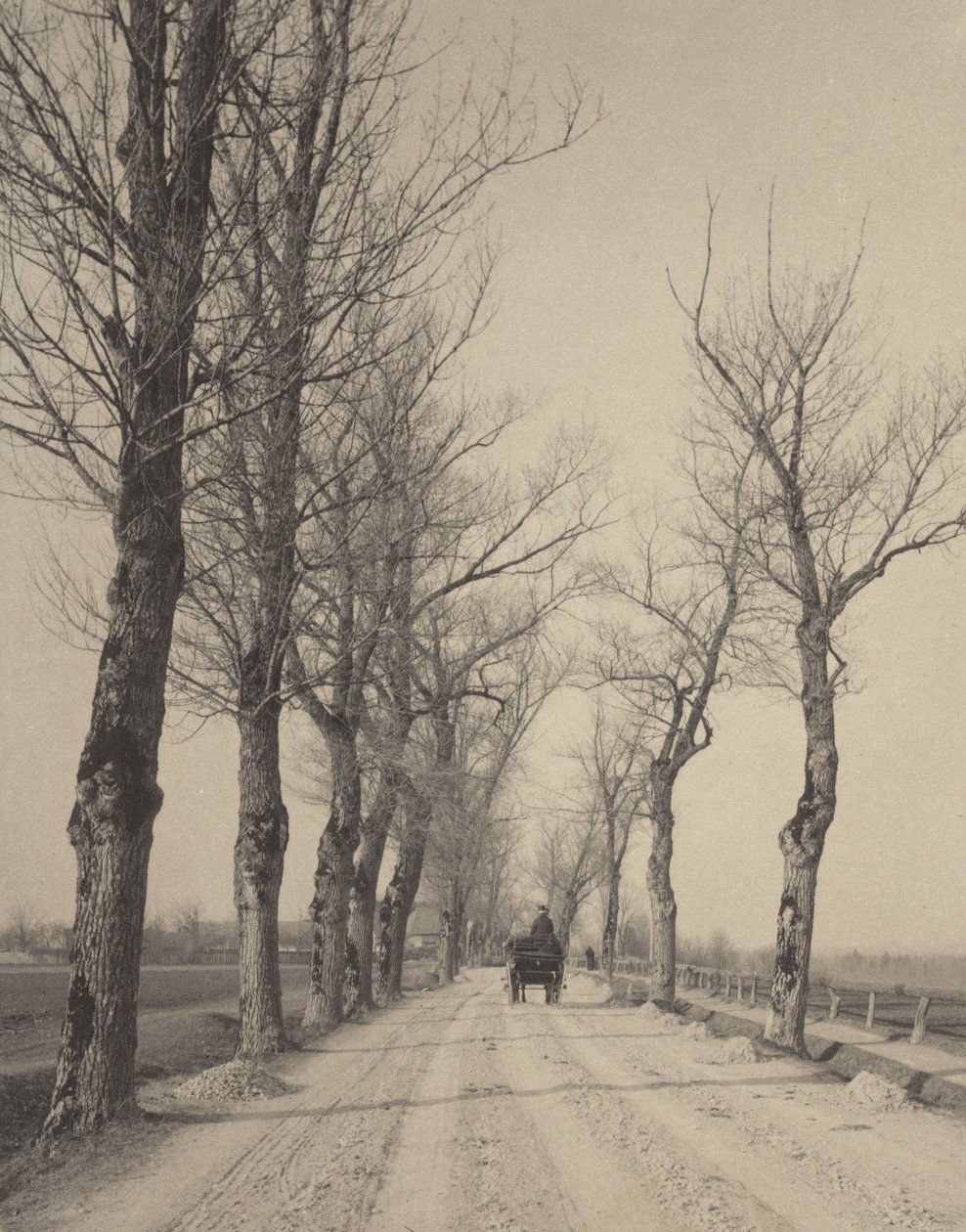 Listopadowe dni autorstwa Alfred Stieglitz