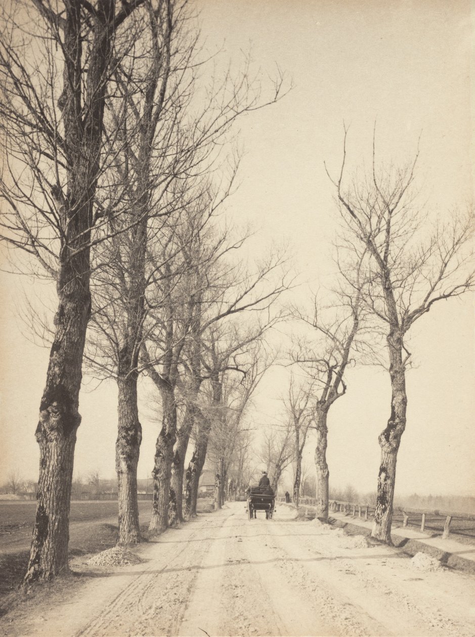 Listopadowe dni autorstwa Alfred Stieglitz