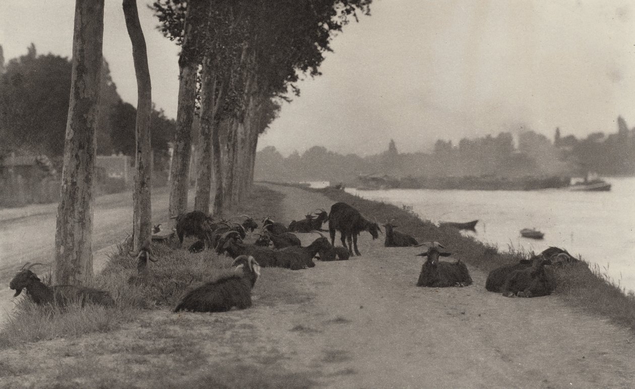 Nad Sekwaną - w pobliżu Paryża autorstwa Alfred Stieglitz