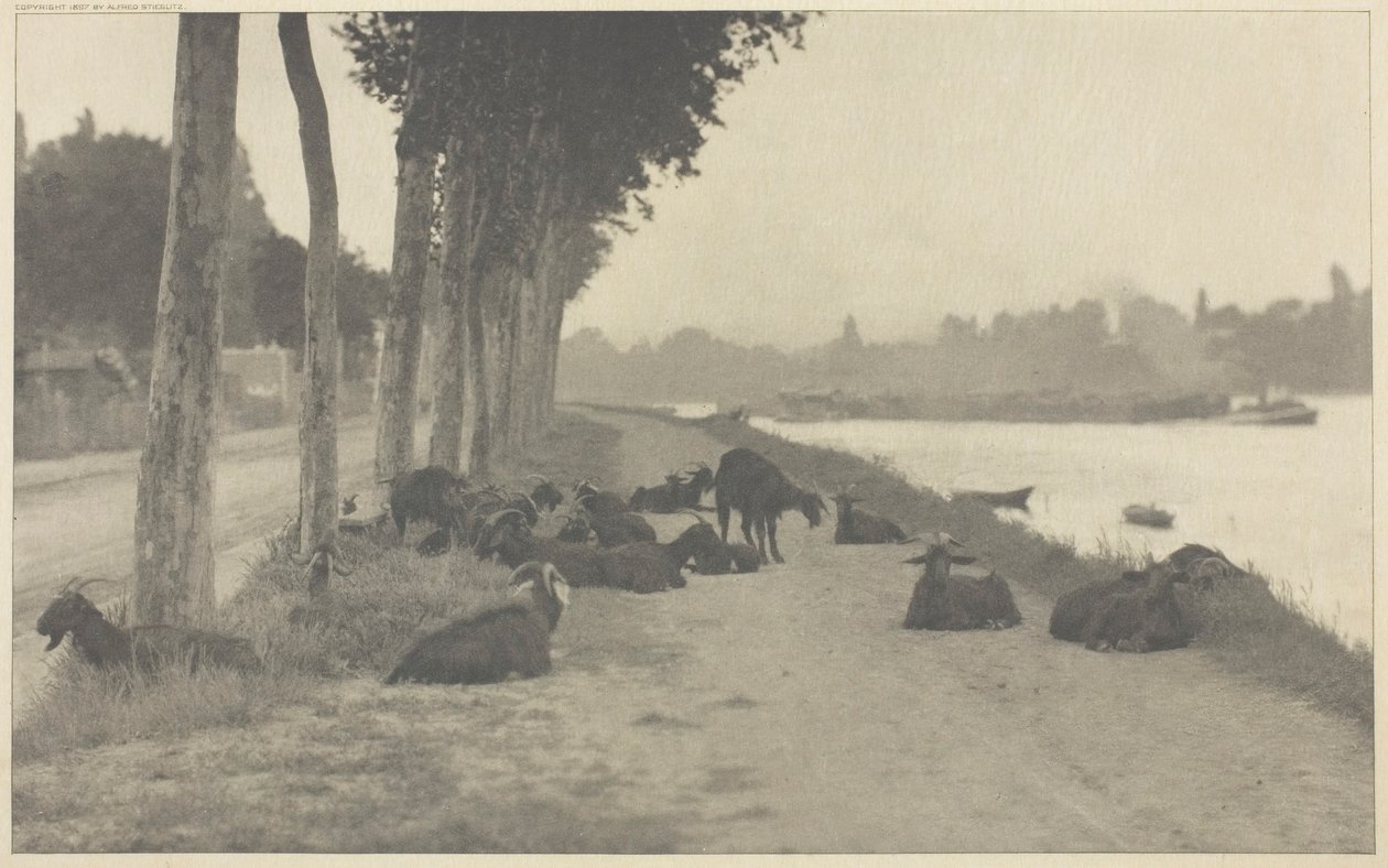Nad Sekwaną — pod Paryżem, 1894, wydrukowany 1897. autorstwa Alfred Stieglitz