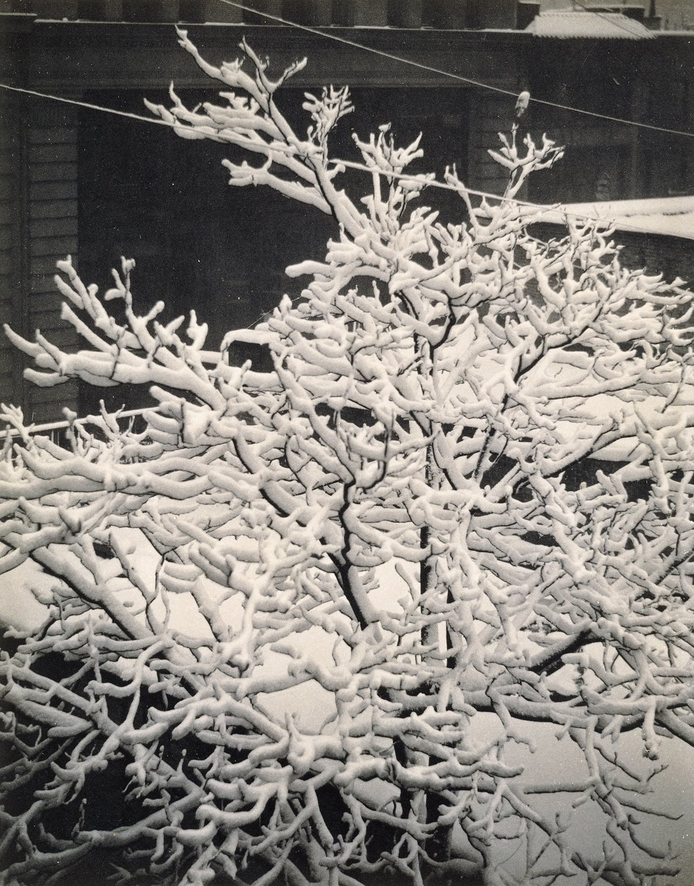 Poza oknem - 291 - Nowy Jork autorstwa Alfred Stieglitz