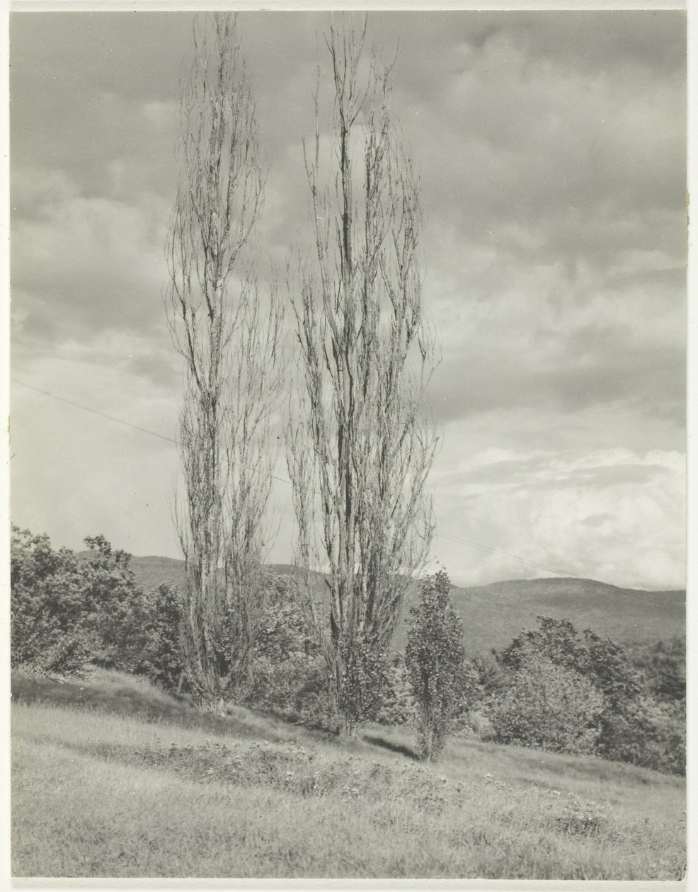 Topole Jezioro George autorstwa Alfred Stieglitz