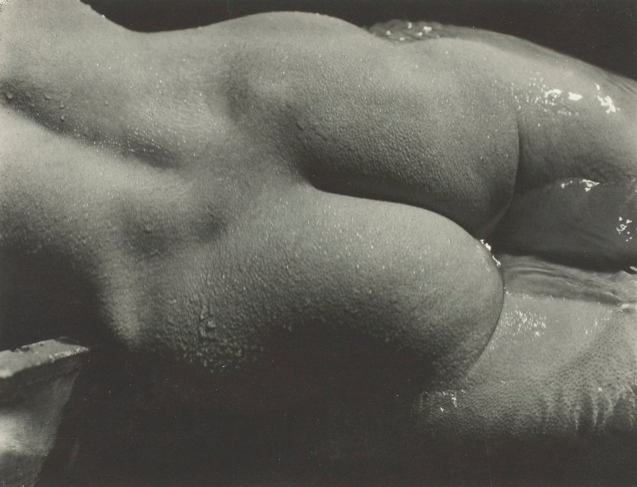 Rebecca Salsbury Strand, 1922. autorstwa Alfred Stieglitz