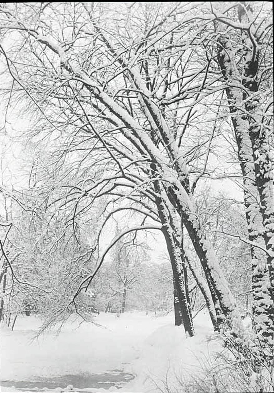 Pejzaż śnieżny, Berlin, 188892. autorstwa Alfred Stieglitz