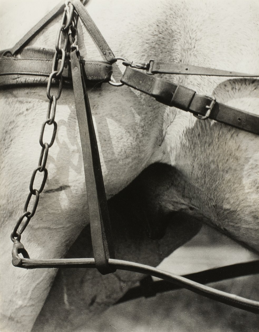 Duchowa Ameryka: Pieśni Nieba A1 autorstwa Alfred Stieglitz