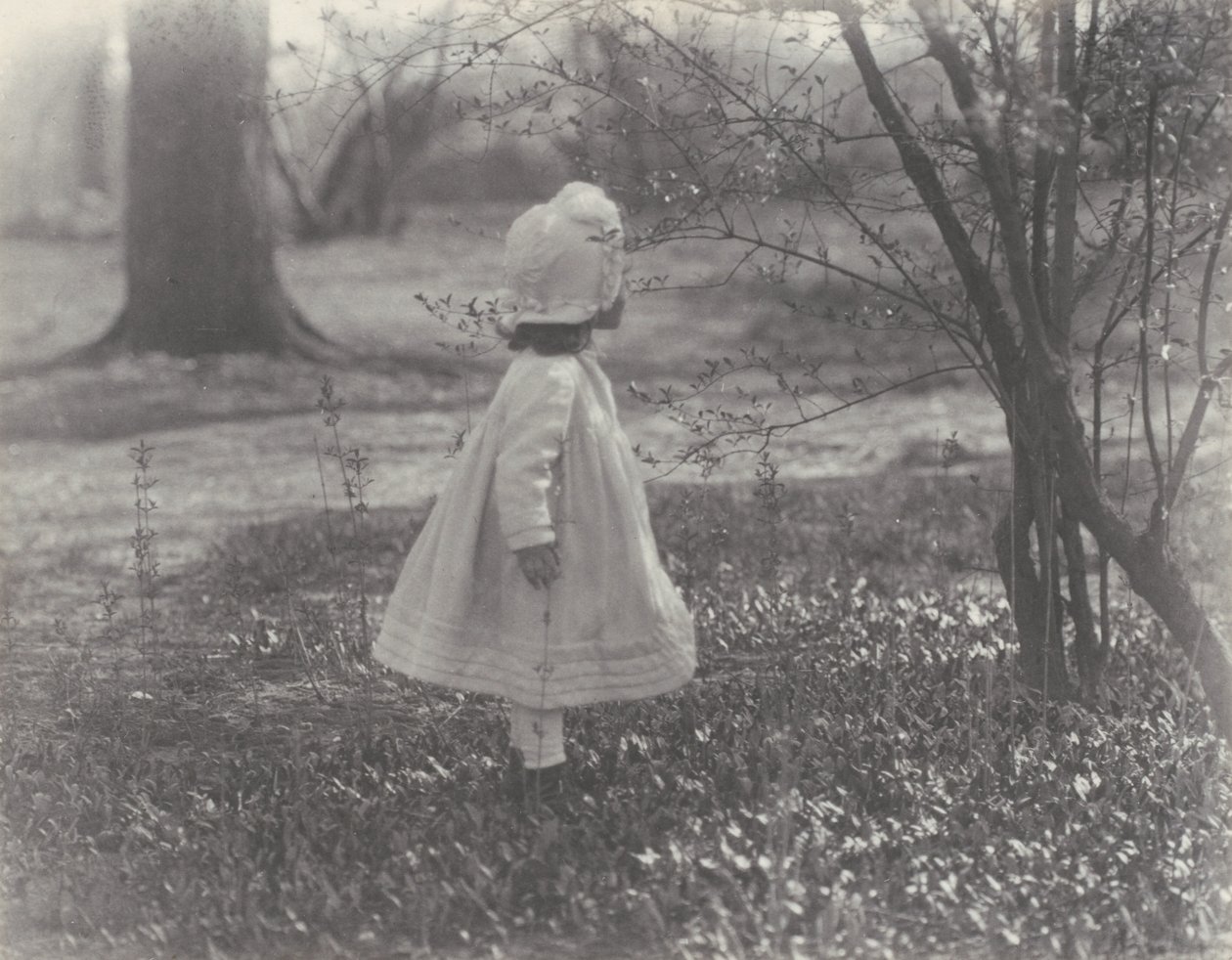 Wiosna autorstwa Alfred Stieglitz