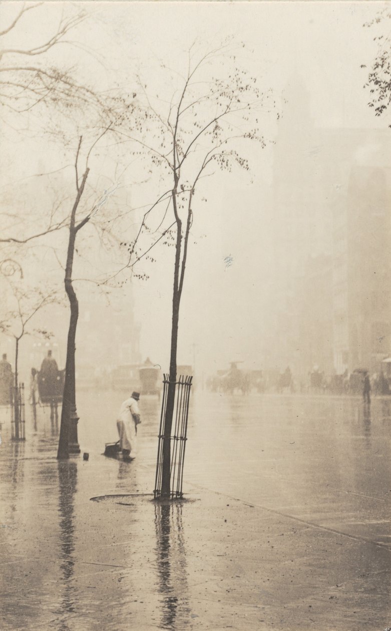 Zamiatarka uliczna i Małe drzewko autorstwa Alfred Stieglitz