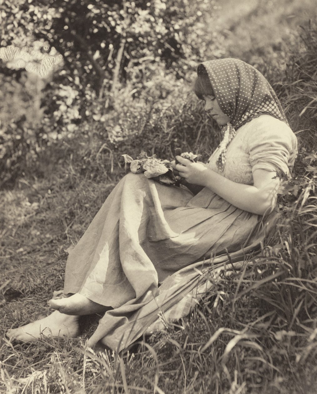 Efekt światła słonecznego autorstwa Alfred Stieglitz