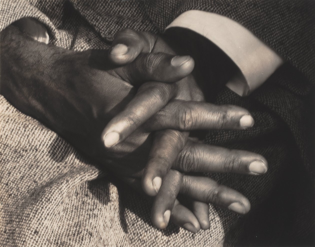 Swami Nikhilananda autorstwa Alfred Stieglitz