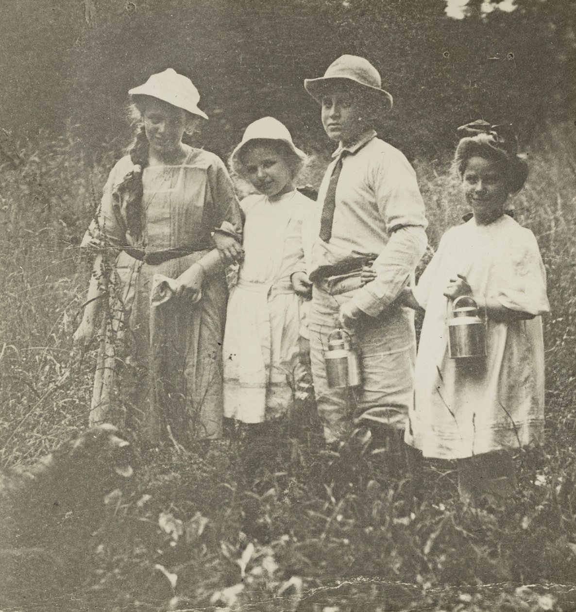 Bez tytułu (Flora, Elizabeth, Howard i Kitty na polu Lake George) autorstwa Alfred Stieglitz