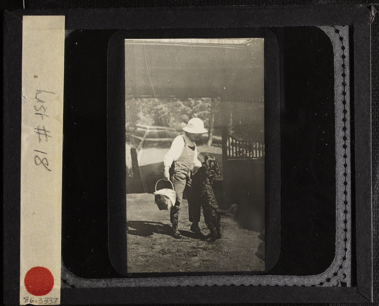 Bez tytułu (siostrzenica Elizabeth z "Inky" w Oaklawn) autorstwa Alfred Stieglitz