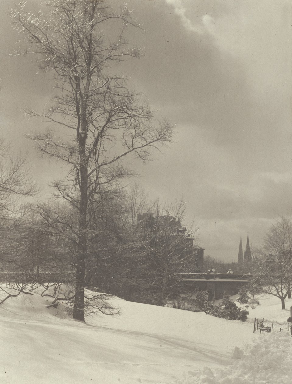 Zima (Central Park) autorstwa Alfred Stieglitz