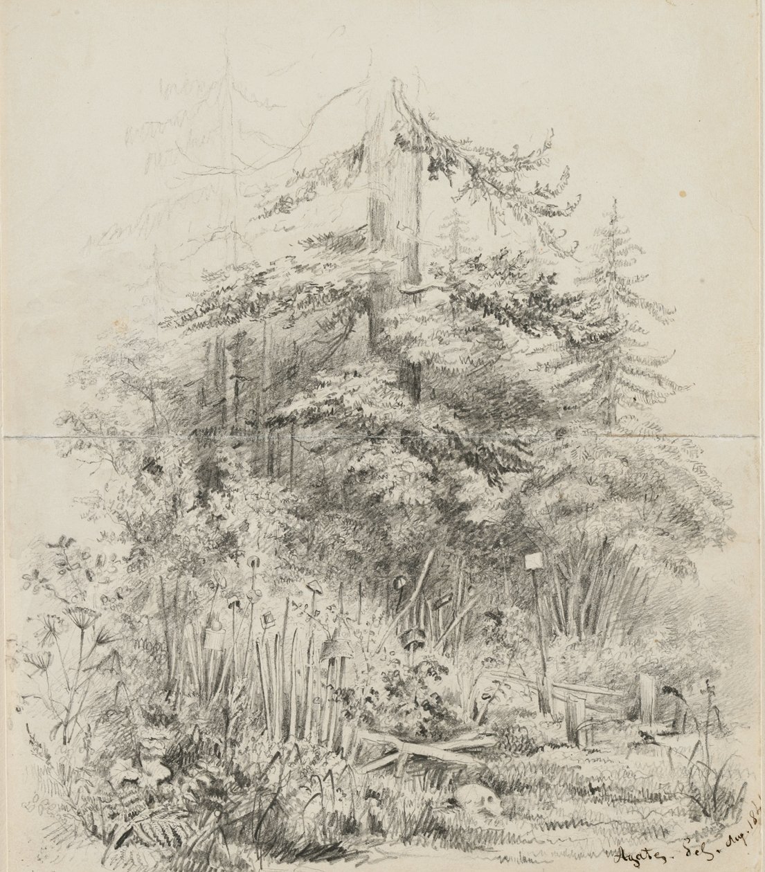Miejsce pochówku Indian, Oregon, 1841 (grafit na dwóch zszytych kartkach szkicownika na kremowym papierze tkanym) autorstwa Alfred Thomas Agate