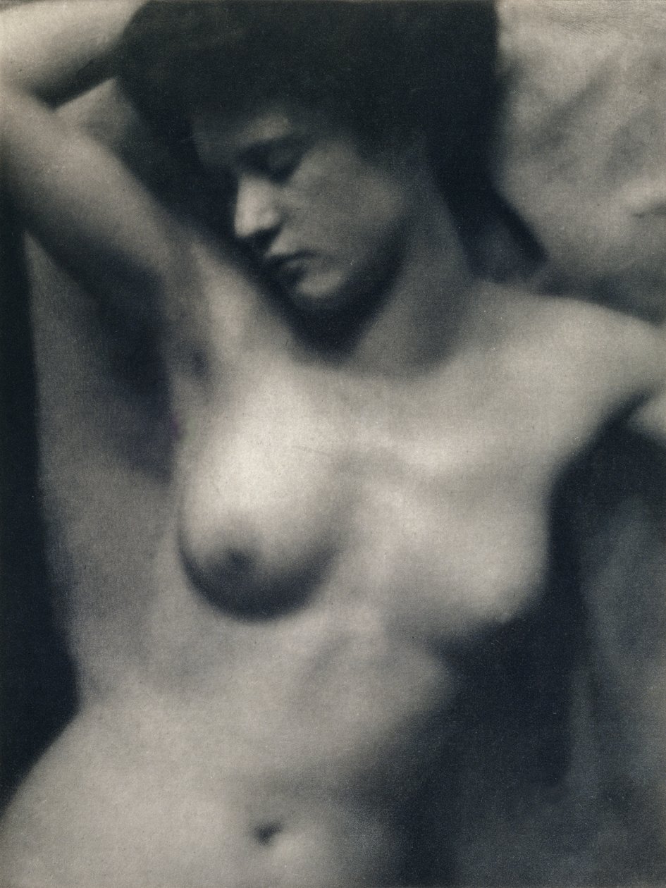 Tułów autorstwa Alfred and White Clarence Stieglitz
