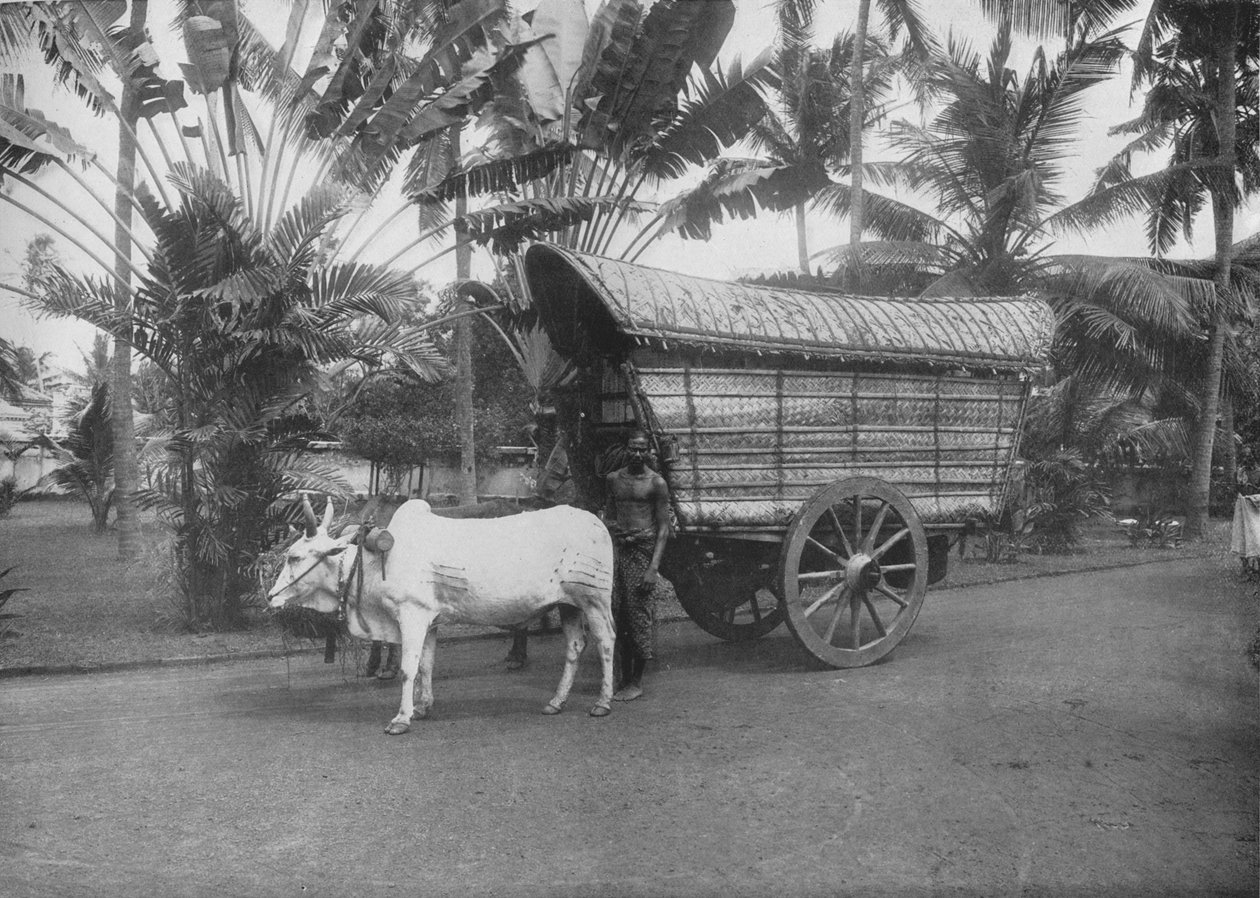 Wózek Cejlon Bullock, c1890, 1910 autorstwa Alfred William Amandus Plate