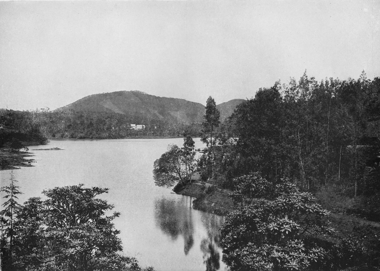 Zakątek jeziora Nuwara Eliya, c1890, 1910 autorstwa Alfred William Amandus Plate