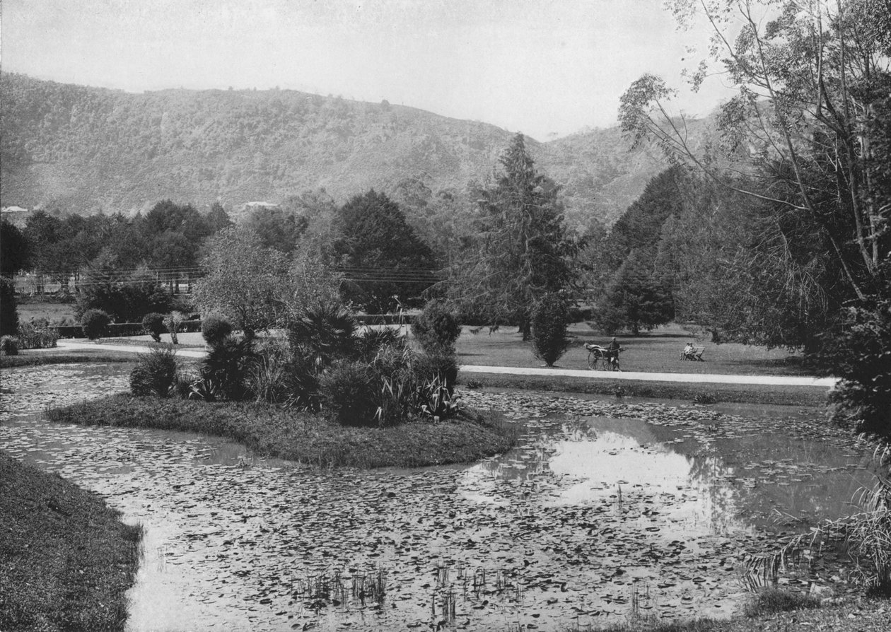 Ogrody Hakgalla ze Stawu Lotosu, Nuwara Eliya, c1890, 1910 autorstwa Alfred William Amandus Plate