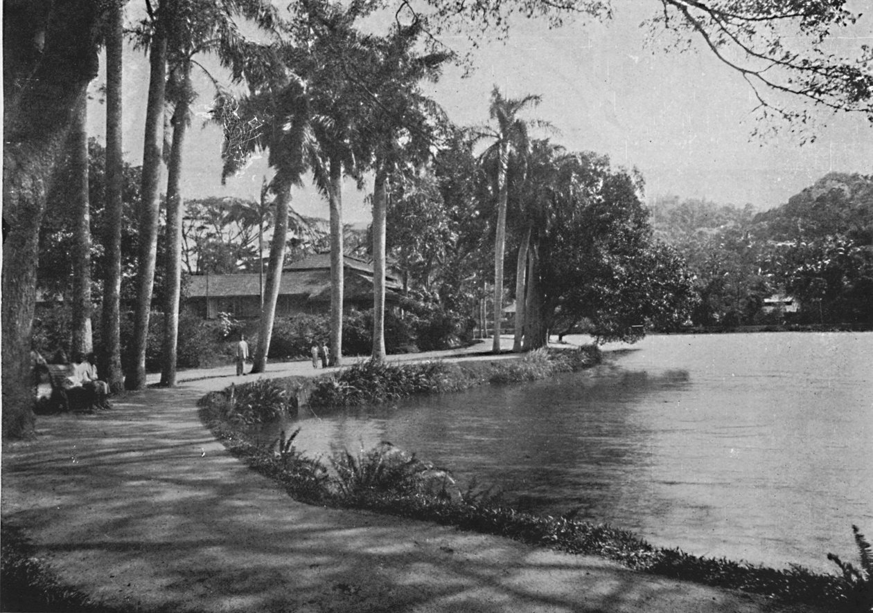 Kandy Lake and Drive, c1890, 1910 autorstwa Alfred William Amandus Plate