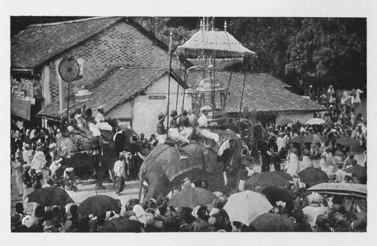 Kandy Perahera. - Procesja słoni prowadzona przez wodzów Kandyan, ok. 1890, 1910 r. autorstwa Alfred William Amandus Plate