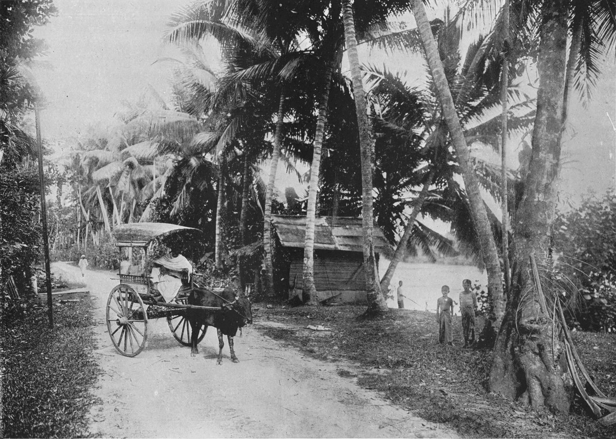 Droga nad rzeką Kelaniya, c1890, 1910 autorstwa Alfred William Amandus Plate