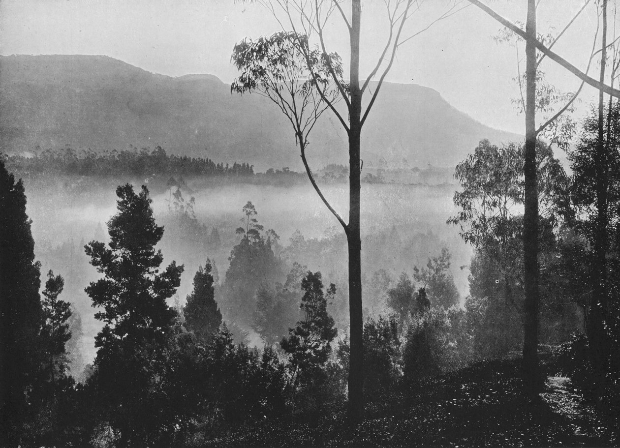 Wczesny poranek wstaje mgła w Nuwara Eliya, c1890, 1910 autorstwa Alfred William Amandus Plate