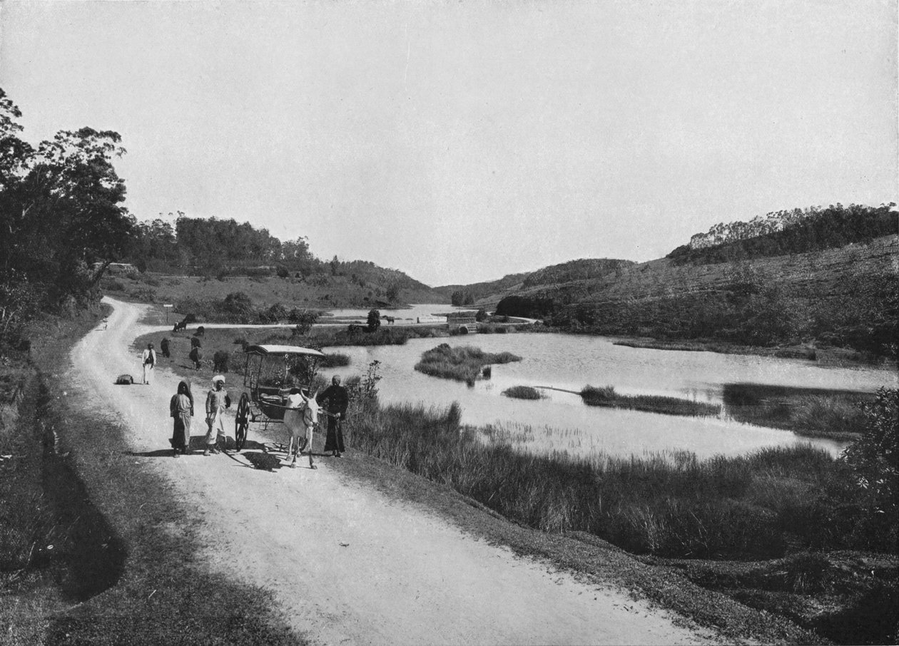 Równiny Księżyca, Nuwara Eliya, c1890, 1910 autorstwa Alfred William Amandus Plate