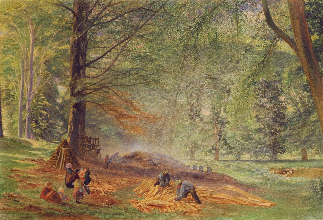 Palniki na węgiel drzewny w Rokeby Park (akwarela na papierze) autorstwa Alfred William Hunt