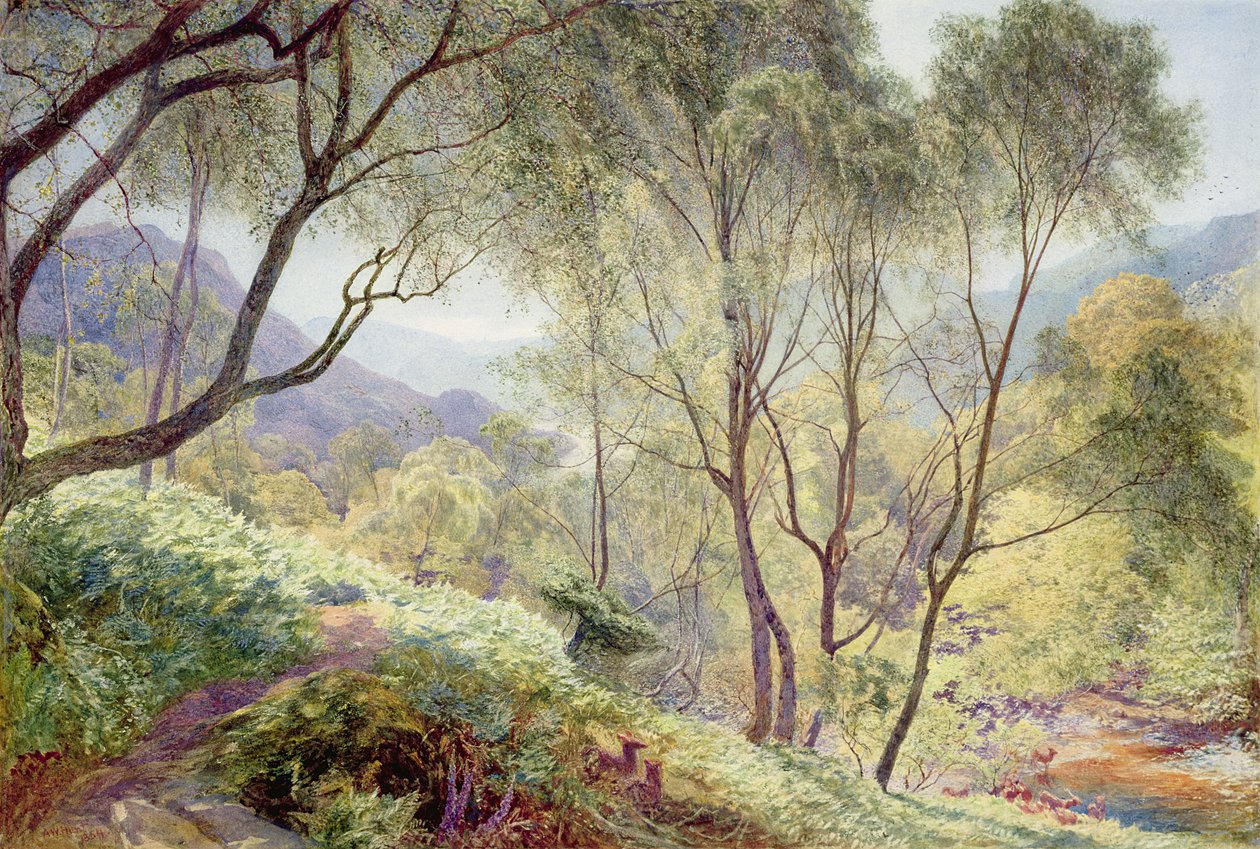 Ullswater z parku Gowbarrow, 1864 autorstwa Alfred William Hunt
