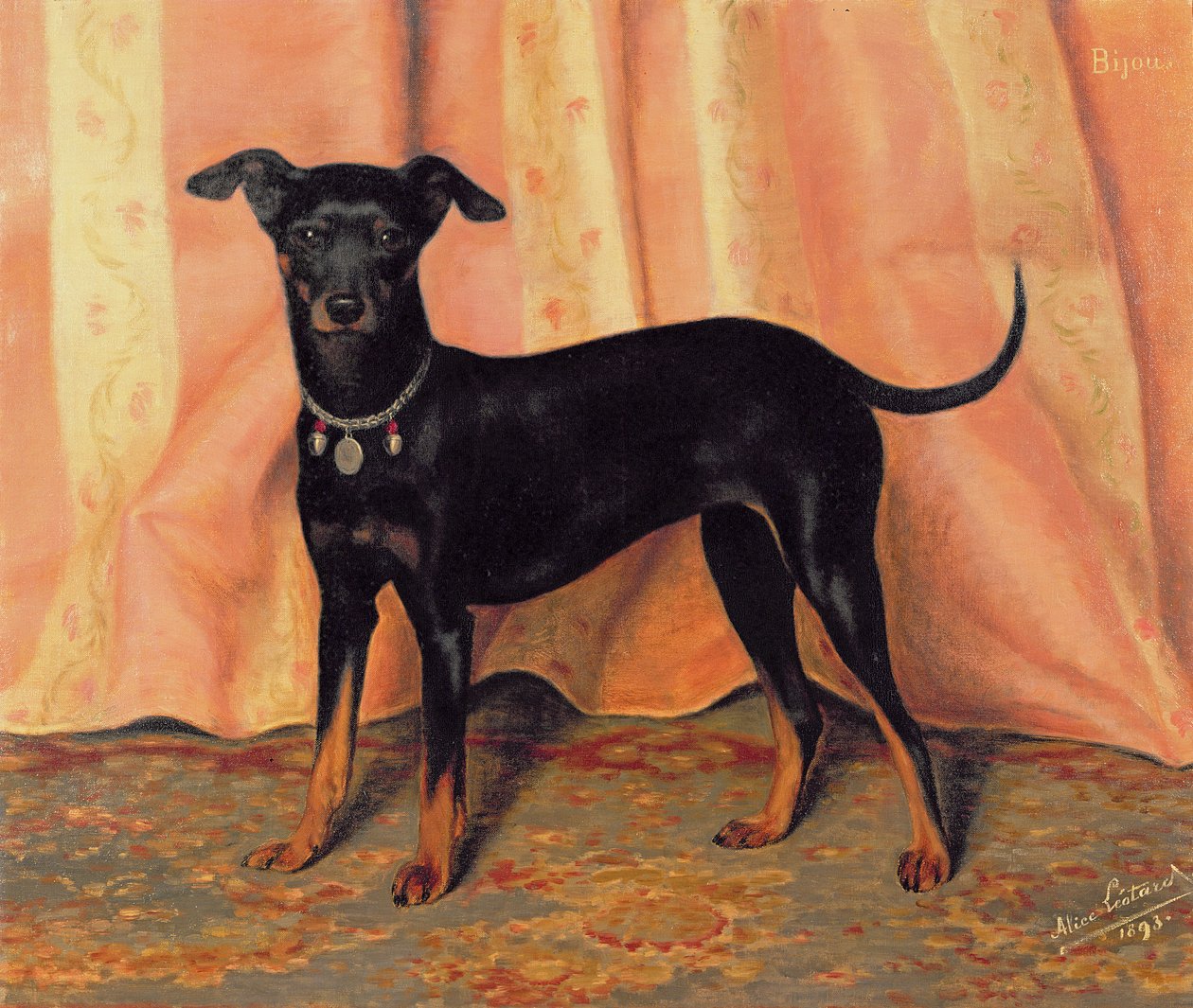Badanie Bijou, Bichon Terriera, 1893 autorstwa Alice Leotard
