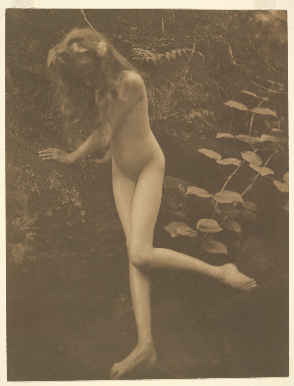 [Naga dziewczyna] autorstwa Alice Boughton