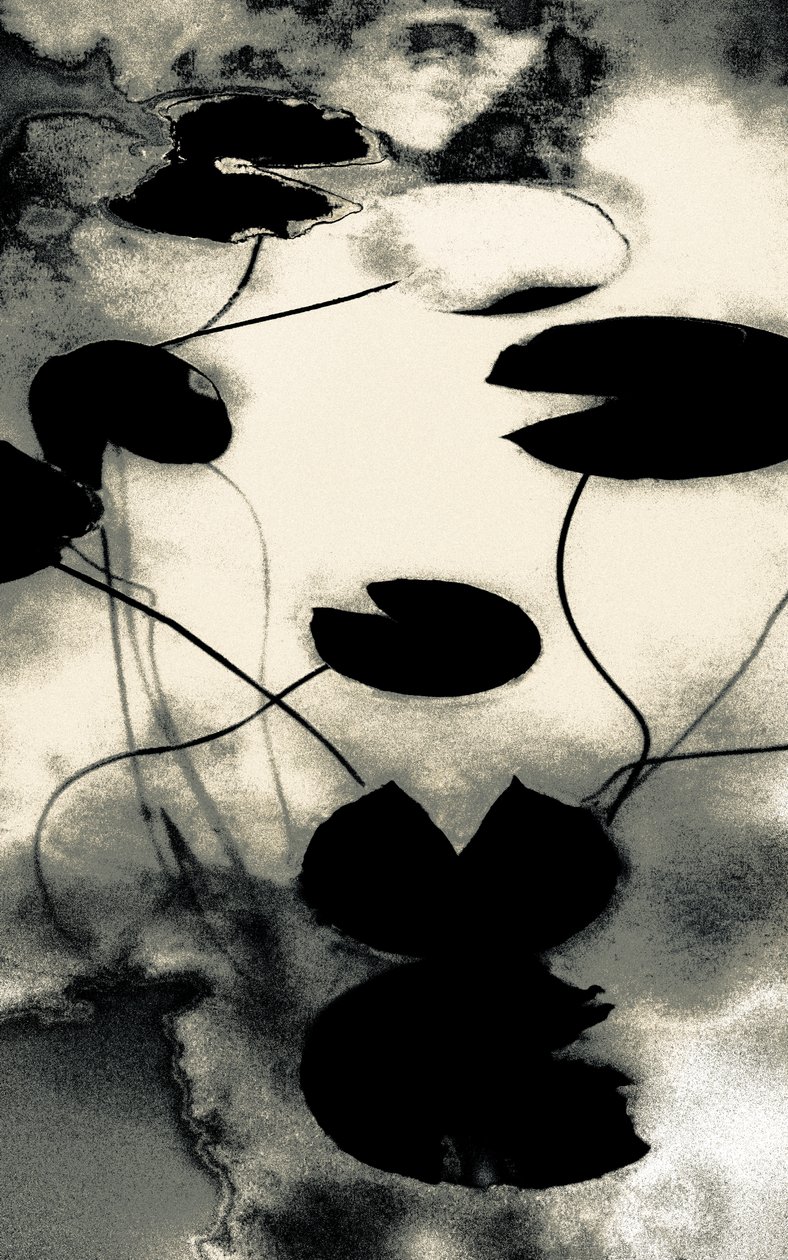 Gold Dust Shadows, z serii Wiosna, 2020 (ręcznie malowane zdjęcie) autorstwa Alice Gur Arie